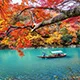 蜂鸟电竞
